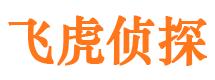 江洲市私家侦探